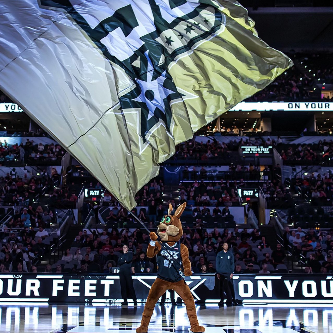 手的得分 手的得分